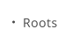 Roots